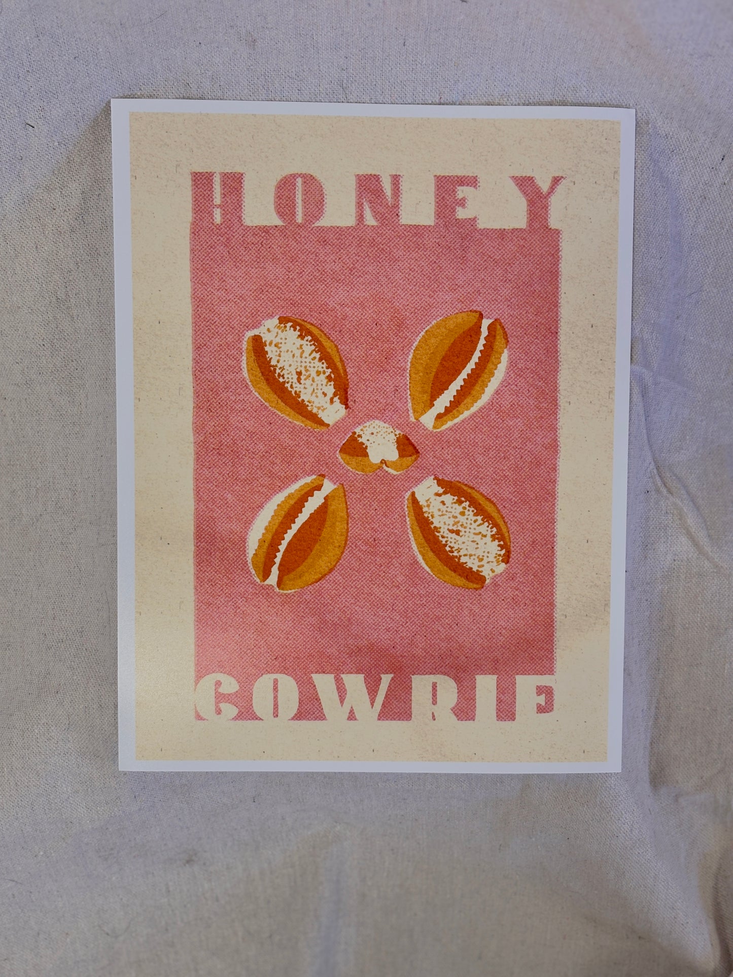 Honey Cowrie