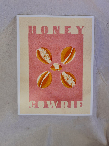 Honey Cowrie