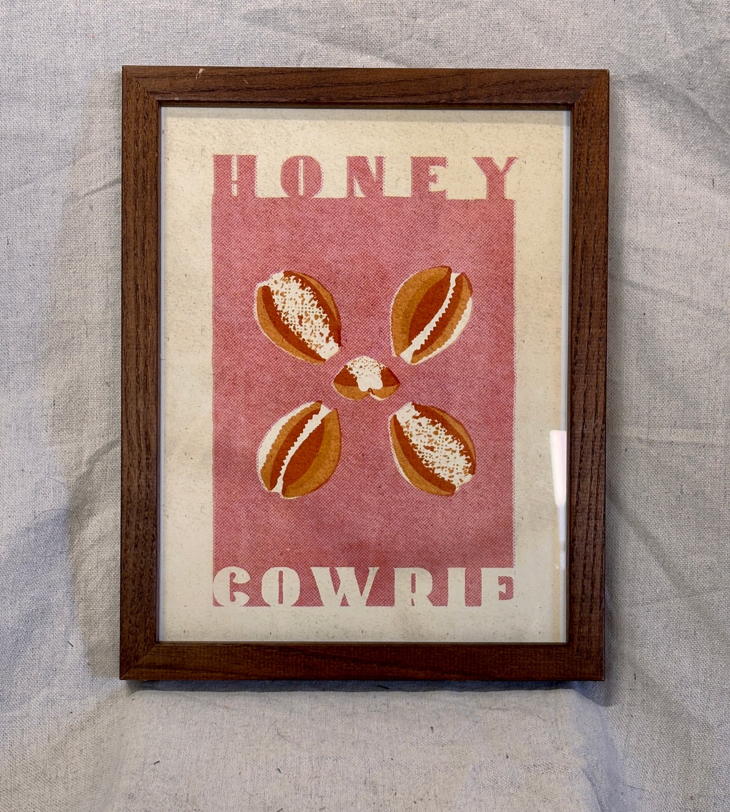 Honey Cowrie